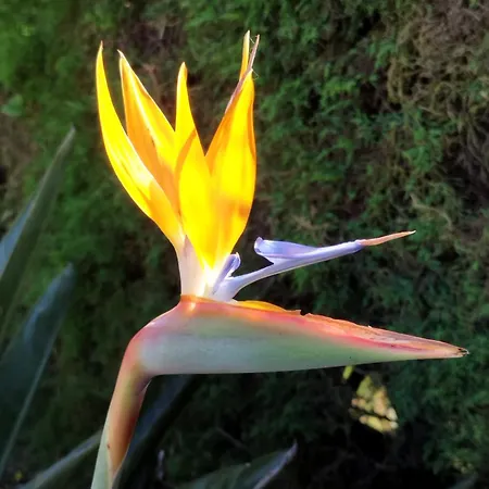 A Casa Da Fonte 度假居 Alviobeira