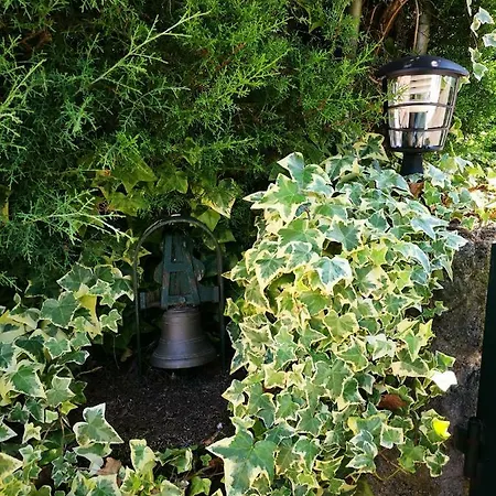 A Casa Da Fonte Semesterbostad Alviobeira