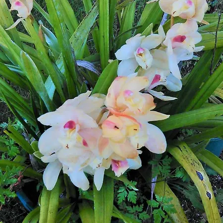 A Casa Da Fonte Semesterbostad Alviobeira