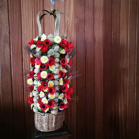 A Casa Da Fonte 度假居 Alviobeira